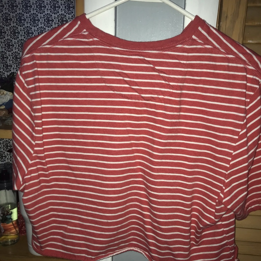Chaps Crop Top - Picture 2 of 3